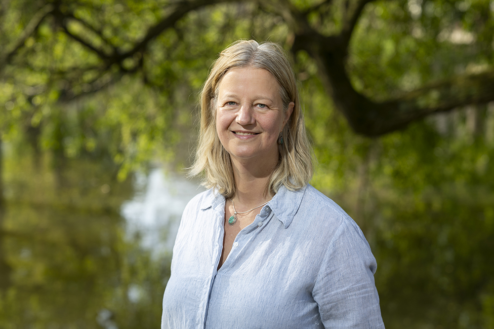 Jolanda Elferink, Arbeidsmediator